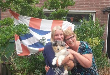 Bij Trimtijd de Trimsalon in Vught draait alles om het welzijn van jouw hond. Ons team van gediplomeerde en ervaren trimmers heeft een passie voor dieren en biedt professionele en liefdevolle zorg.